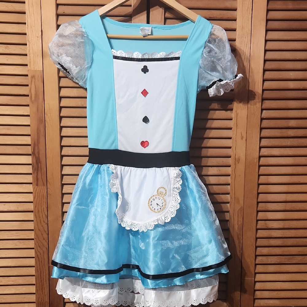 Alice In Wonderland Costume Dress